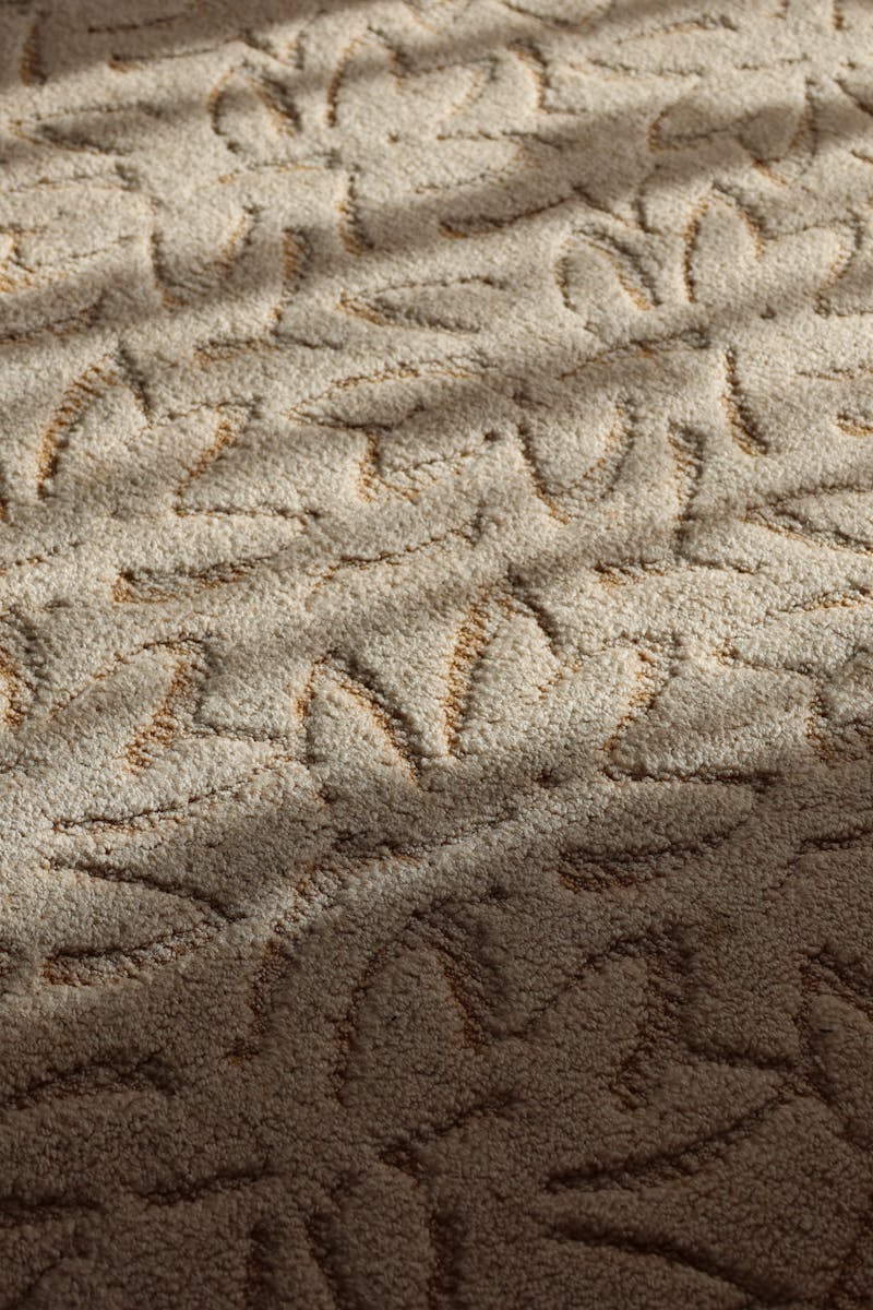 A close-up view of a textured beige carpet with a floral pattern under soft daylight, creating a warm and inviting atmosphere.